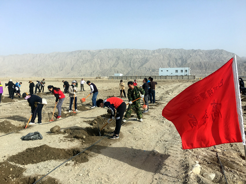 图为巴州残联“春风拂面好时节,残联植树绿梨城”活动